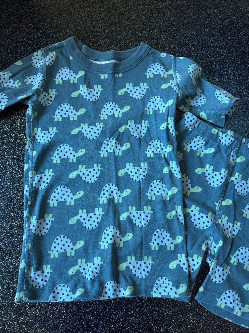 Hanna Andersson Turtle Print PJs, Size 10
